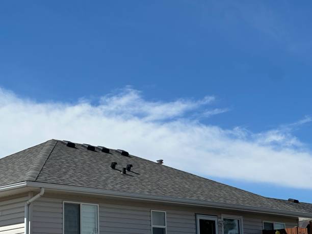 Best Asphalt Shingles Roofing  in USA